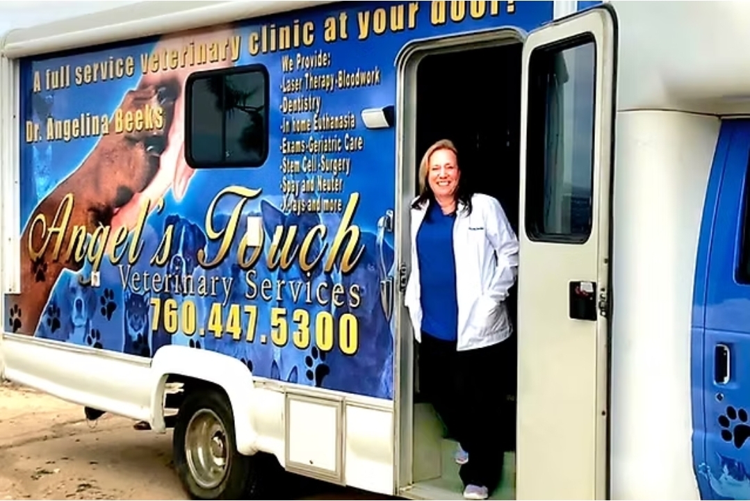 Pause4Paws Low Cost Spay/Neuter/Vaccines/Microchip  Clinic